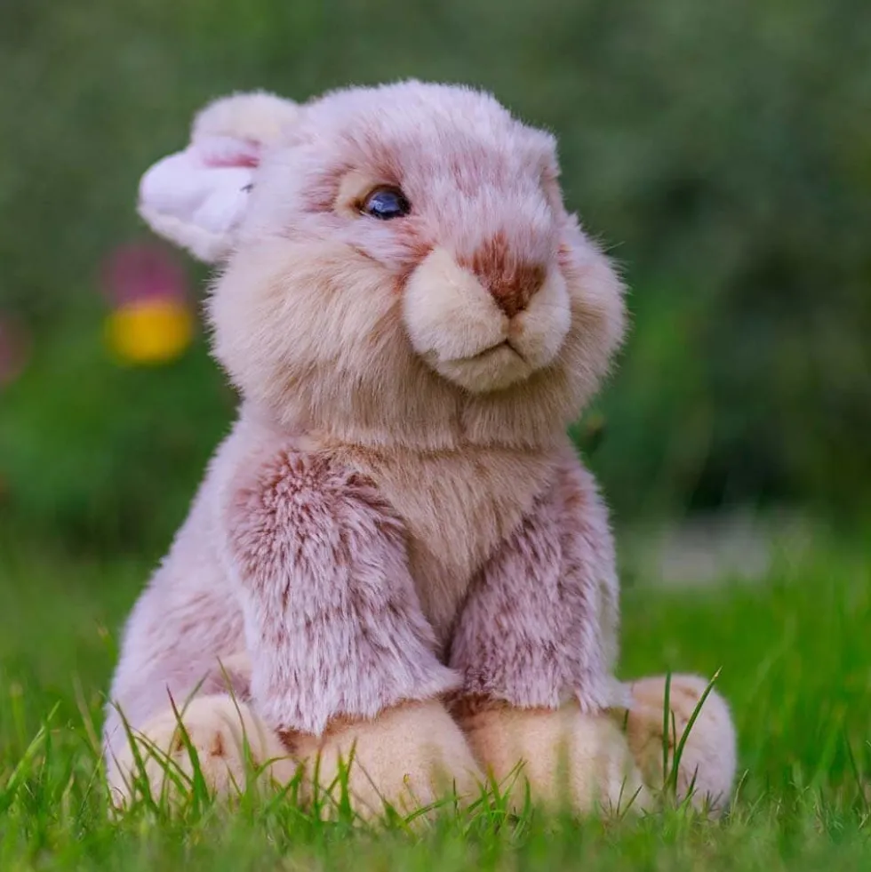 Animigos World of Nature - Hare 24 cm