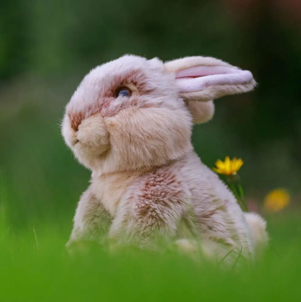 Animigos World of Nature - Hare 24 cm
