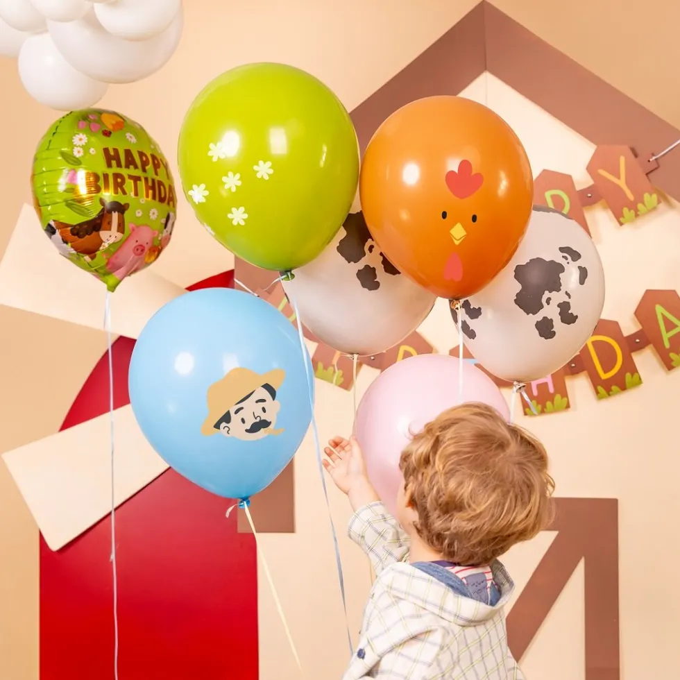 Bondgård Ballongmix 6-pack
