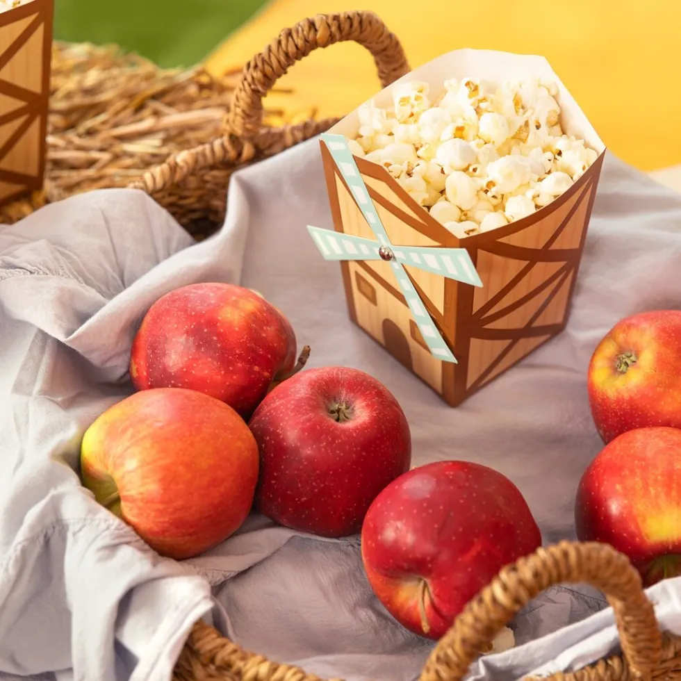 Bondgård Popcornboxar 6-pack
