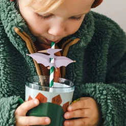 Dinosaurie Pterodactyl - Pappsugrör 6-pack