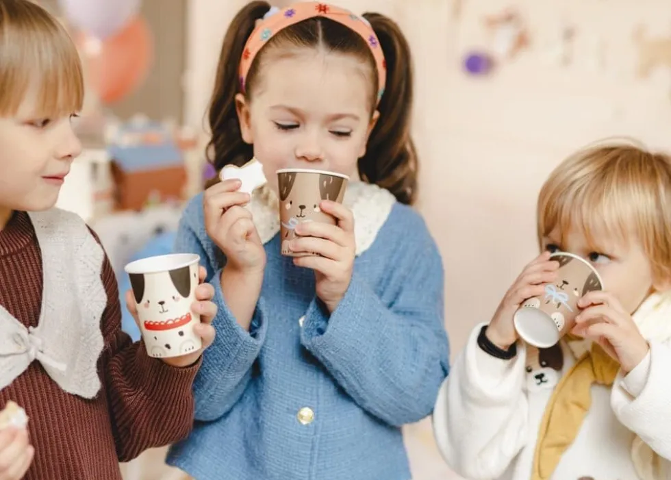 Dog Party - Pappmuggar 6-pack
