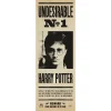 Dörrposter - Harry Potter Undesirable No 1 53 x 158 cm