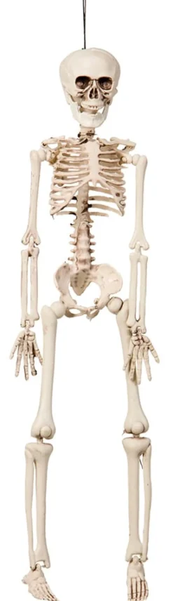 Halloweendekoration Skelett 76 cm