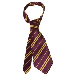 Harry Potter Slips