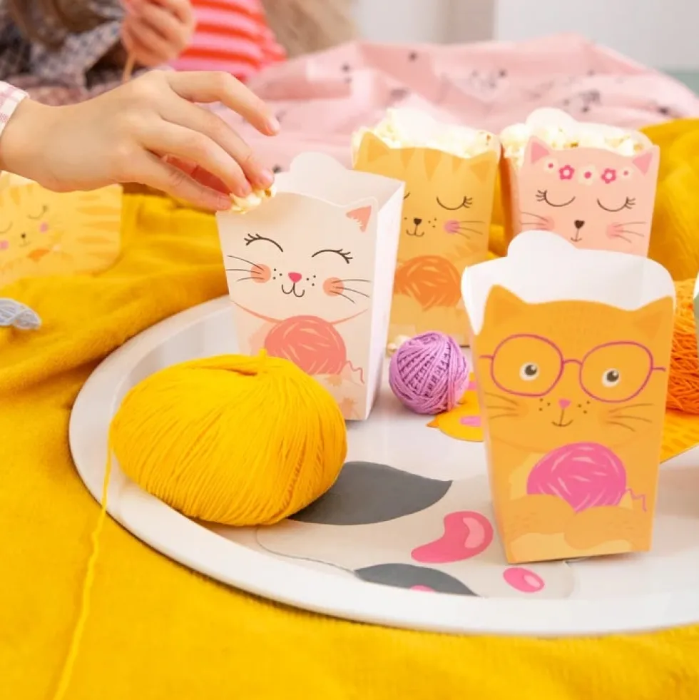 Katt Popcornboxar 6-pack