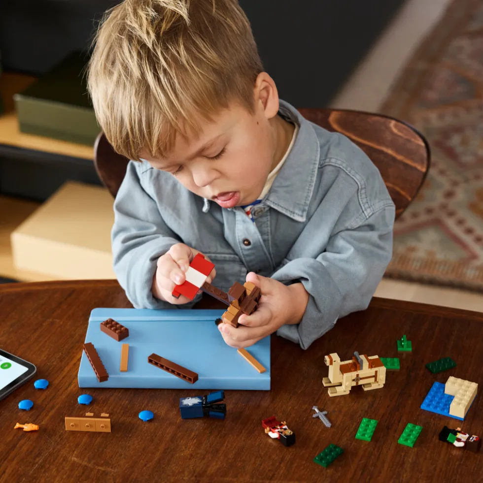 LEGO Minecraft - Piratskeppsresan 8+