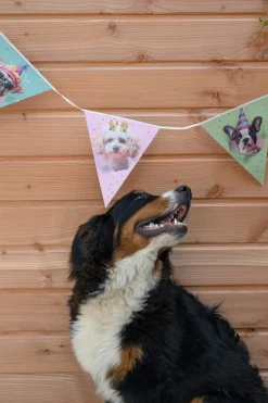 Party Dog Flaggirlang 3 meter