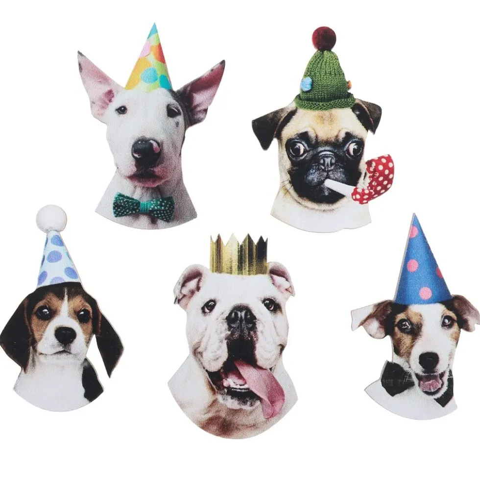 Party Dog Konfetti 25-pack