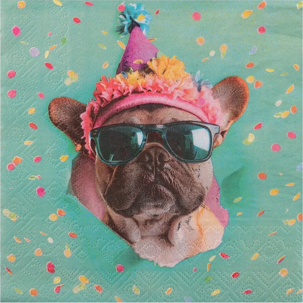 Party Dog Servetter 12-pack