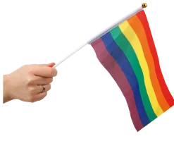 Pride Handflaggor 6-pack