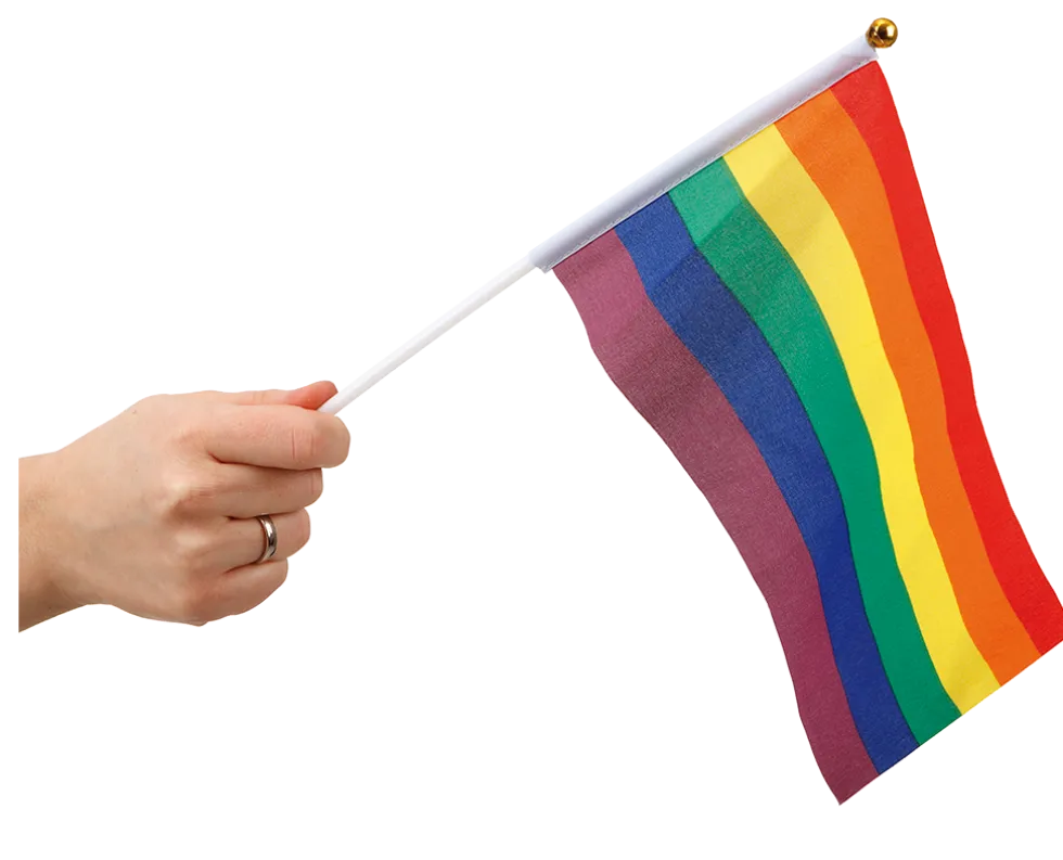 Pride Handflaggor 6-pack