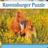 Ravensburger Pussel - Shetlandsponnys 100 bitar XXL
